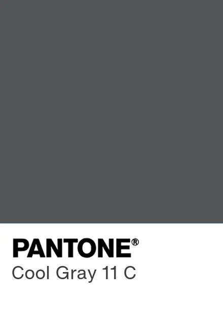 深灰色|PANTONE Cool Gray 11 C